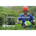 25CC/ 36CC/52CC/double edged Hedge trimmer, 22.5cc, 1 HP /CE/GS